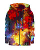 bluzy dla chłopców Bluza Zamek Chłopiec DR.CROW Fraktal