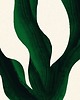 plakaty Plakat Plant III