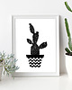 plakaty Kaktus II | plakat | ilustracja | A4