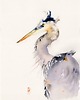 obrazy Oryginalna akwarela. Czapla