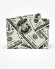 portfele damskie Portfel DOLARS- TYVEK