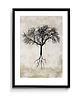 plakaty Drzewo plakat