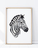 obrazy i plakaty do pokoju dziecięcego PLAKAT ZEBRA P339