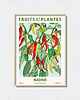 plakaty Plakat botaniczny "Madryt"