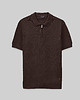 t-shirty męskie Koszulka polo Crespino brązowa