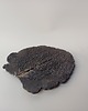 patery i talerze Ceramiczny talerz liść kapusty 2