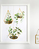 plakaty ilustracja botaniczna | 50x70 cm