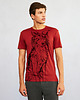 t-shirty męskie Border Collie Dog Men's T-shirt marsala