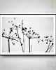 fotografia B&W II  50x70