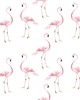 tapety i naklejki ścienne Tapeta Flamingi