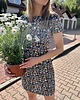 sukienki mini damskie Flowers / mini sukienka 100% wiskoza
