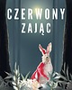 książeczki dla dzieci Bajka personalizowana dla Babci/Dziadka