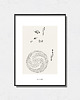 plakaty Taguchi Tomoki - Exhibition Poster