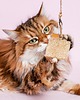 Zabawki dla zwierząt Wędka WILD CAT z zawieszką LOOFAH