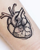 tatuaże zmywalne, tymczasowe Serce anatomiczne-tatuaż tymczasowy