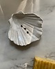 mydelniczki Ceramiczna Mydelniczka Muszelka Muszla Biały Piegusek