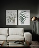 grafiki i ilustracje Eucalyptus & Wind