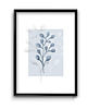 plakaty Plakat Morskie Trawki No.1
