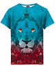 t-shirty dla chłopców T-shirt Boy DR.CROW Lew Trójkąt