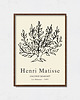 plakaty Plakat Henri Matisse - Inspiracja