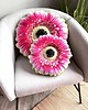 poduszki z grafiką Zestaw Poduszek Kwiat Gerbera