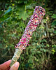 akcesoria do jogi Kadzidło handmade lawenda z różą mniejsze