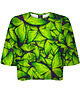t-shirt damskie DR.CROW T-shirt Krótki CROP Motyle Green