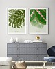plakaty Plakat Monstera i Maranta - zestaw dwóch plakatów
