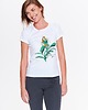 t-shirt damskie Gdzie mój Zen (ek)? KOSZULKA JOGA