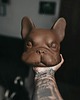 figurki i rzeźby Buldog francuski kolor RUSTY -  figura - KUFA.design