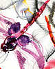 grafiki i ilustracje Dragonfly 2 - grafika