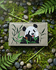 portfele damskie Portfel - panda