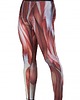 spodnie męskie Legginsy Pure Muscle