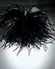 spinki i klamry do włosów Broszka/spinka/ fascynator ze strusich piór czarna, ecru, beż  XL 34cm