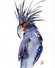 obrazy Oryginalna akwarela. Papuga