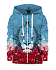 bluzy dla chłopców Bluza Zamek Chłopiec DR.CROW Lew Trójkąt