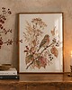 plakaty PLAKAT zięba, vintage ilustracja botaniczna, jesienna dekoracja