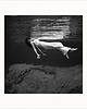 grafiki i ilustracje Weeki-wachee-spring -  passe-partout