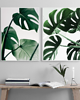 plakaty DWA PLAKATY galeria botaniczne monstera