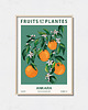 plakaty Plakat botaniczny "Ankara"