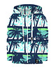 bluzy dla chłopców Bluza Zamek Chłopiec DR.CROW Blue Beach