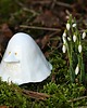 figurki i rzeźby Buka ceramiczna mini  - 2