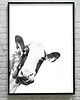 plakaty KRÓWKA- poster