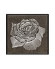 grafiki i ilustracje Rosa - grafika przestrzenna