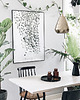 plakaty Plakat Ceropegia 50x70 cm