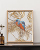 plakaty Plakat 50x40 Zimorodki