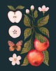 plakaty Plakat "Jabłka" granatowe tło 30x40 cm