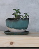 doniczki Doniczka ceramiczna