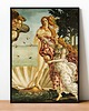 plakaty Plakat Fine Art giclee kolaż ZAWSTYDZONA WENUS