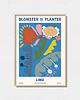 plakaty Plakat botaniczny "Lima"